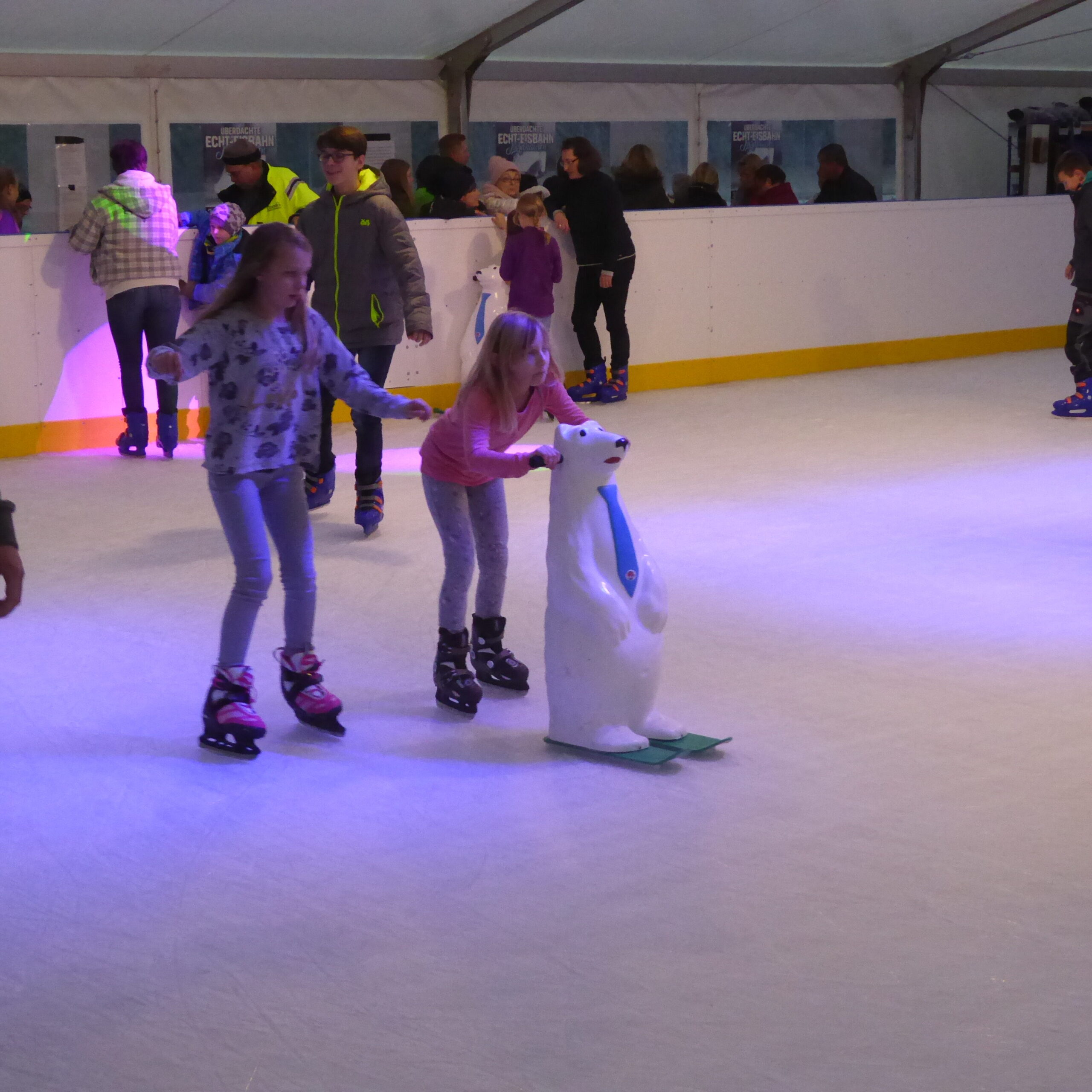 Kleinkinderschlittschuhlauflernhilfe "Polarbär"